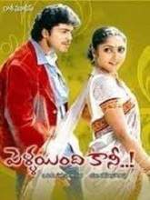Pellaindi Kaani (2007) DVDRip Telugu Full Movie Watch Online Free